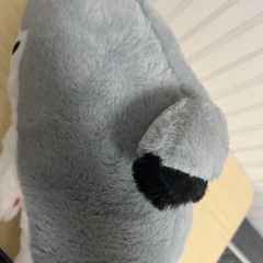 新品未使用　りくりゅう愛用　シャー子 サメぬいぐるみ　三浦璃来　木原龍一の画像