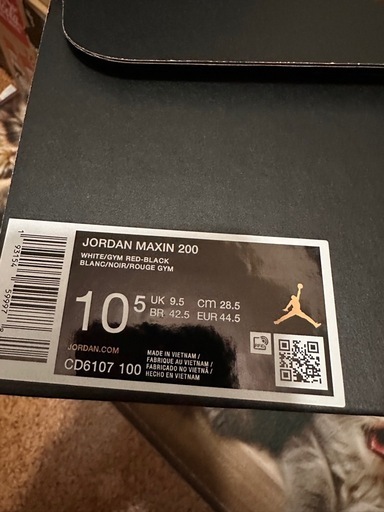 NIKEジョーダン マキシン 200