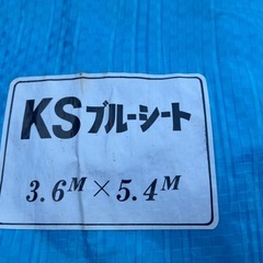 ブルーシートの画像