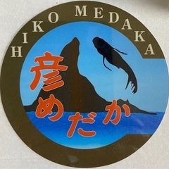 彦めだか茅ヶ崎　5月11日　改良めだか