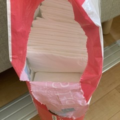 ペットシーツ 小型犬 60枚くらいの画像