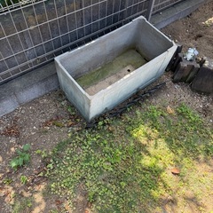植木鉢いかがでしょうか？の画像