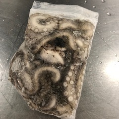 シガヤータコの画像
