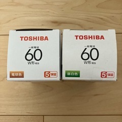 LED電球　昼白色　電球色の画像