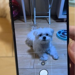 iPhone 13 Pro Max 1TB SIMフリー 最終値下げの画像