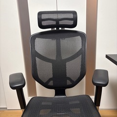最終値　Flexispot 昇降式デスク(モニター台付き) & Ergohumanチェアの画像