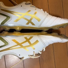asics アシックス　DS LIGHTの画像