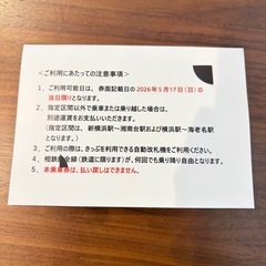 相鉄線　　1日乗車券　5月17日限定　乗り降り自由の画像