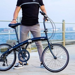 NEXTYLE(ネクスタイル) NX-FB001 折りたたみ 折り畳み 自転車 20インチ　ブラックの画像