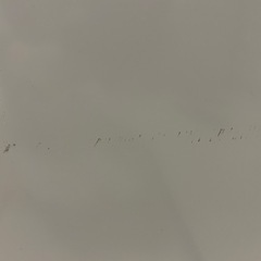 22年製　シャープ　　5.5キロ　洗濯機の画像