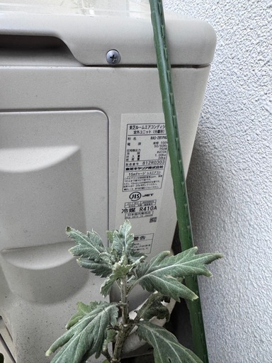 【確定】東芝ルームエアコン?