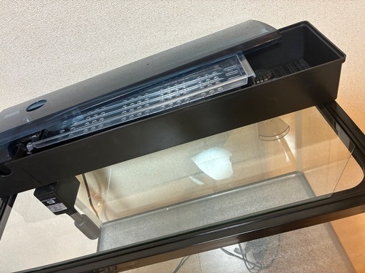 【綺麗】60cm  水槽セット　LED照明　台付