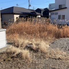 草刈り 請け負います