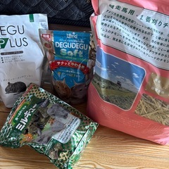 デグーのごはん、オヤツ、お世話用品、おまけ付きの画像