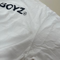 GRe4N BOYZ ライブTシャツの画像