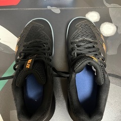 YONEX CASCADE 22 バドミントンシューズ 23.0cmの画像