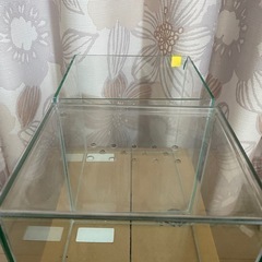 ミニ水槽2個セット ＋ エアーポンプ・フィルターの画像