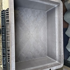 メダカ　容器まとめ売りの画像