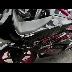 ninja250rの画像