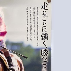 メイショウサムソン ヒーロー列伝 NO.63 ポスター B3 競馬 JRAの画像