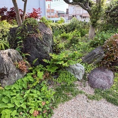 庭石の画像