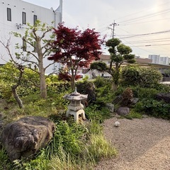 庭石の画像