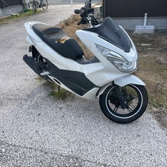 pcx  kf18 の画像