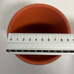 テラコッタ鉢の画像
