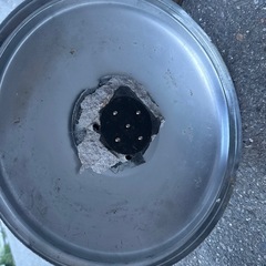 扇風機の画像