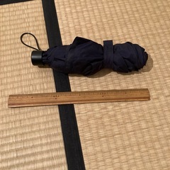 折りたたみ傘の画像