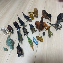 アニア　セットの画像
