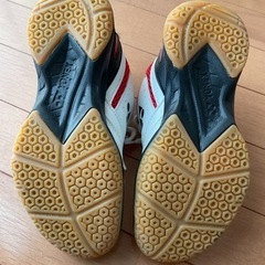 バドミントンシューズの画像