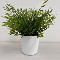 IKEA フェイクグリーンの画像