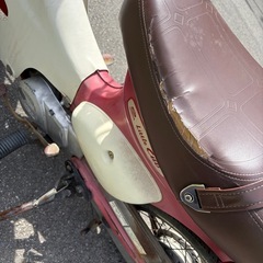 リトルカブ50  実働車の画像