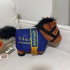 【サラブレッドコレクション】オルフェーブル・エフフォーリア（2021有馬記念）の画像