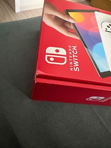 有機ELモデル　スイッチ