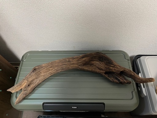90cm水槽で使用してた大型流木セット
