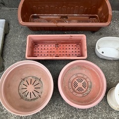プランターまとめての画像