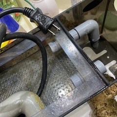 レイシーポンプ ウエットandドライ 上部濾過槽 難ありの画像