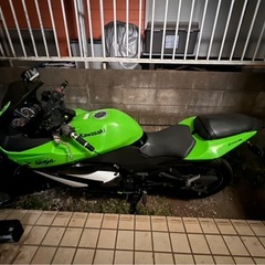 ニンジャex250kの画像