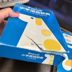 国語辞典　漢字辞典
の画像