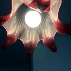 ニトリ　LED電球の画像