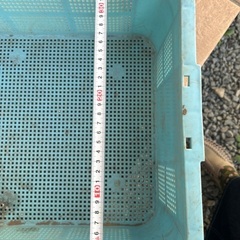プラスチックケース　コンテナ　浅型　家庭菜園などにの画像