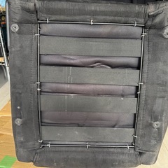 セミバケ レンシュポルトの画像