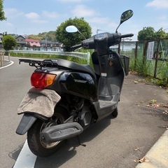 AF79タクト　50cc 自賠責保険今年11月までの画像