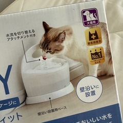 ピュアクリスタル   fitの画像