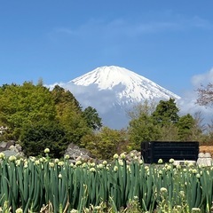 全国メンタルグルメンバー募集中