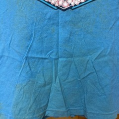 半袖Ｔシャツ　100
の画像