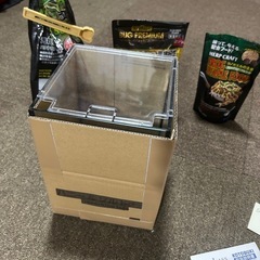 ベルツノガエルの飼育ガラスの画像