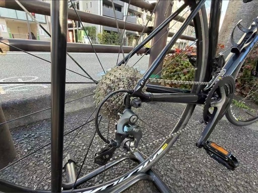 giant tcr slr